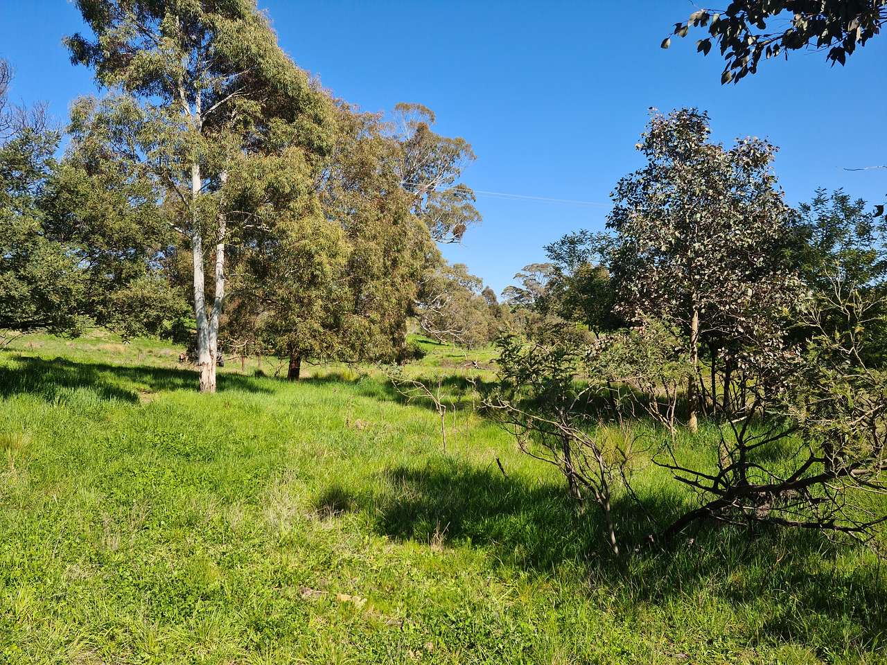 Dairy Park Farm Stay