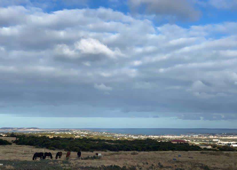 Great Views Farmstay