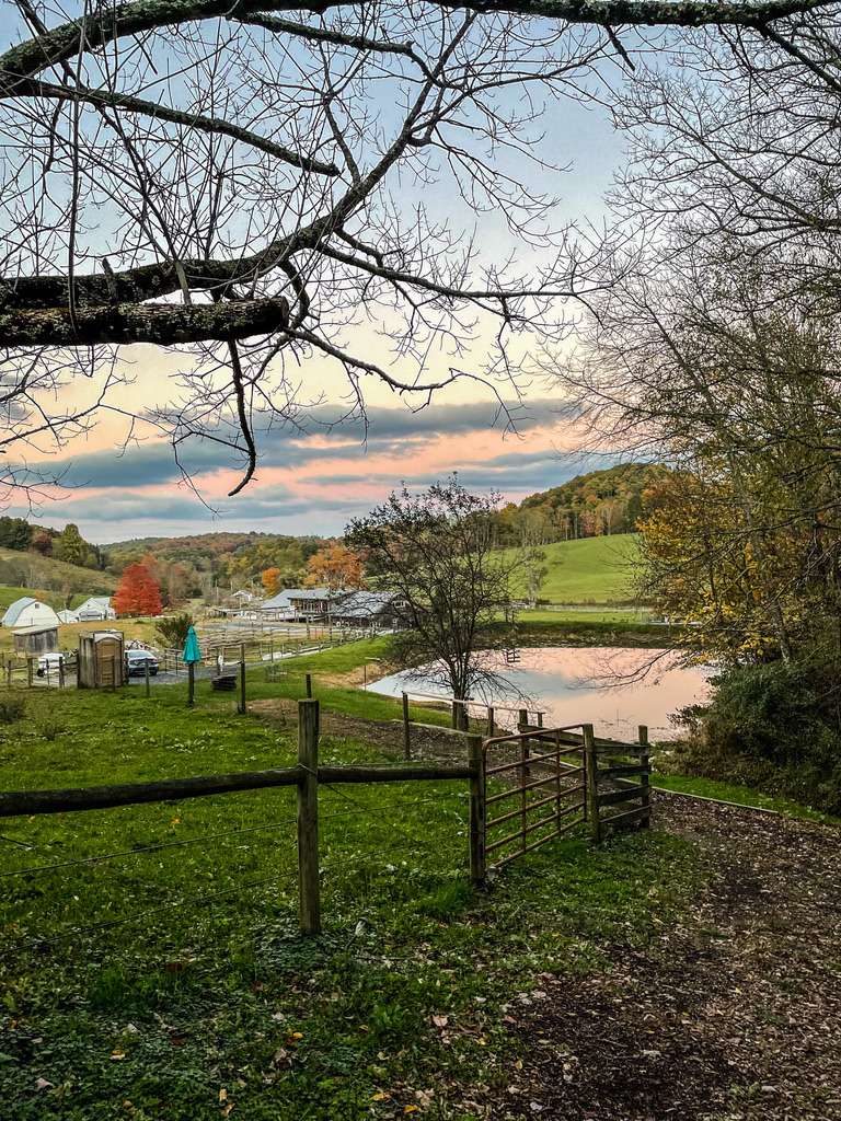 RugbyCreek Pet Friendly Rentals