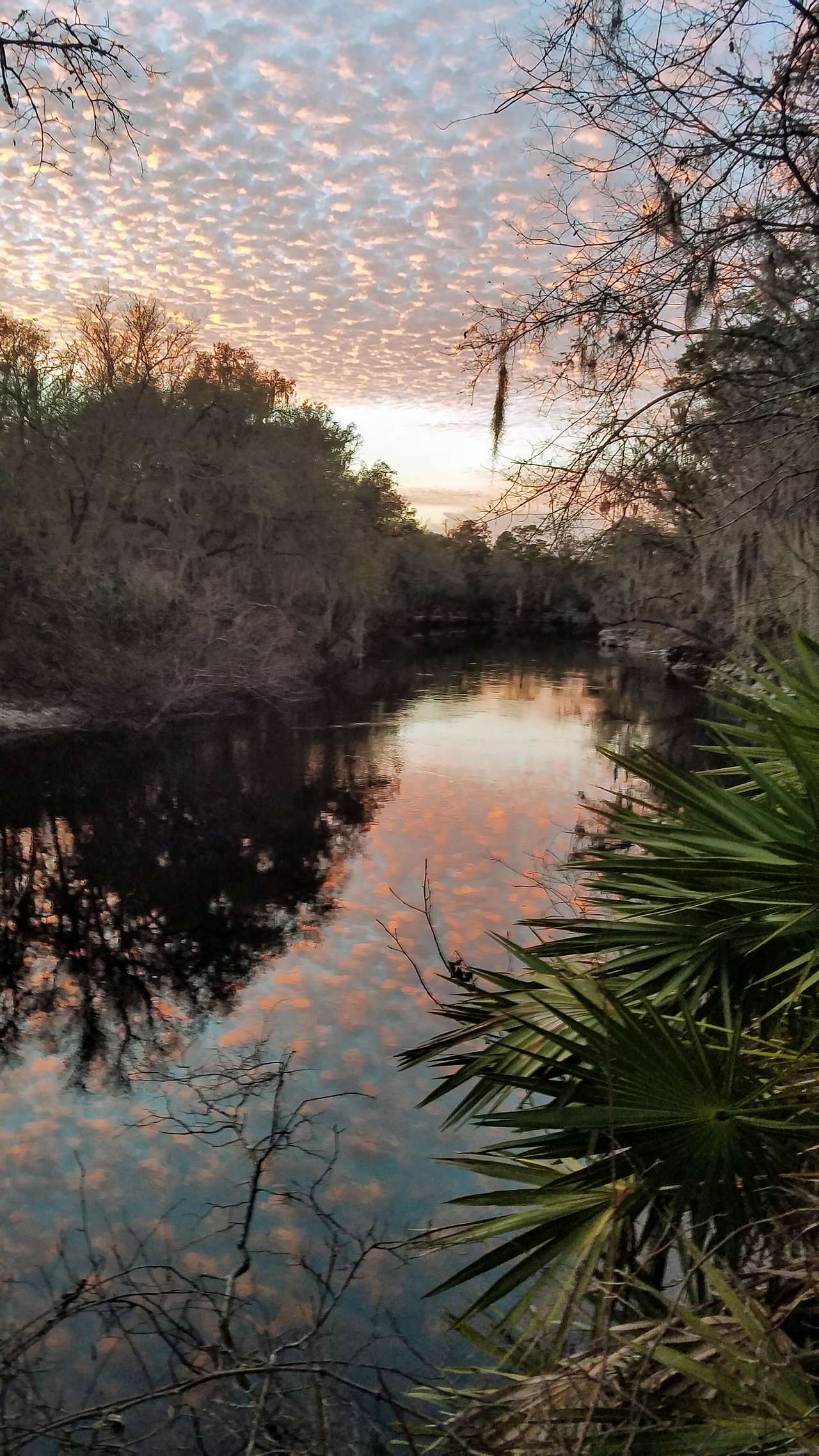 Sunset view from the river bank near camp.