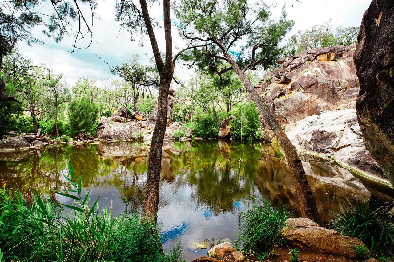 recommend a trip to the local waterhole 
