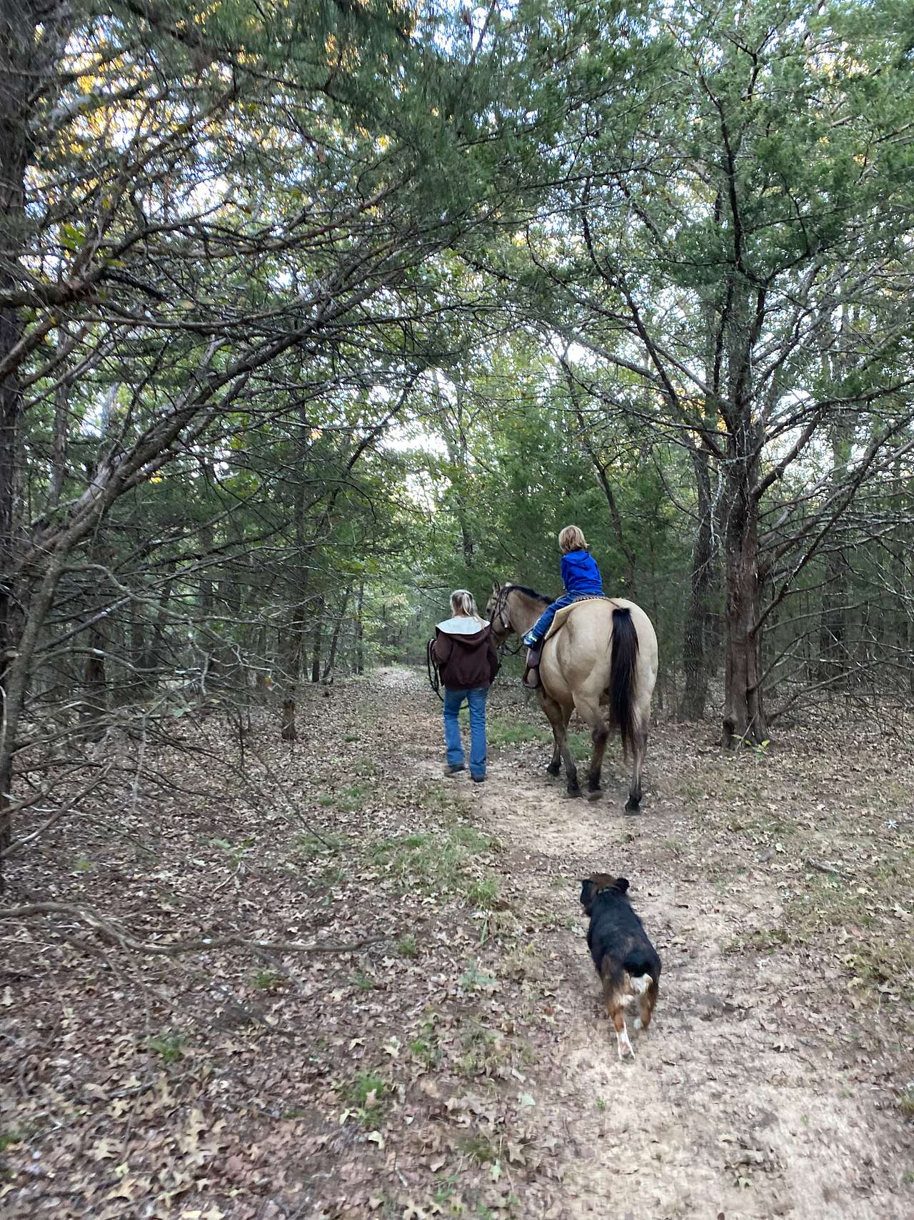 Camp Tonkawa Woods & Horse Camp