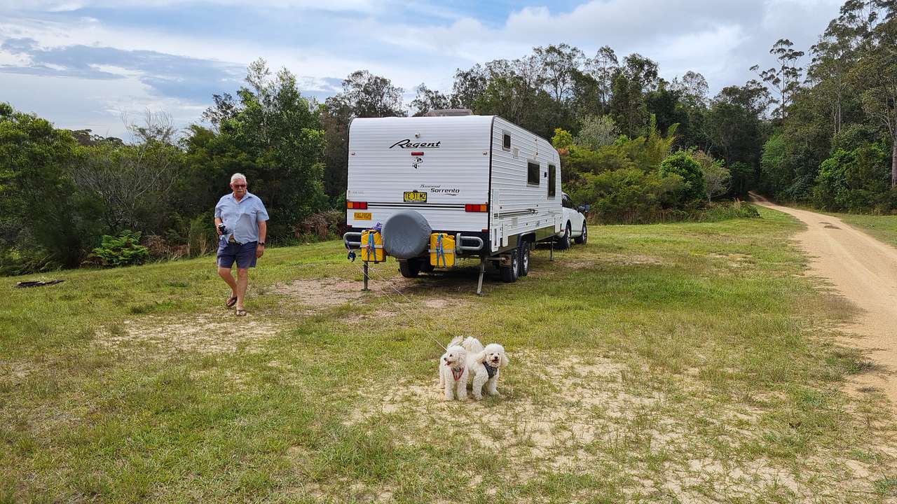 Husband and puppies stretching their legs glad to be at our destination for the night.