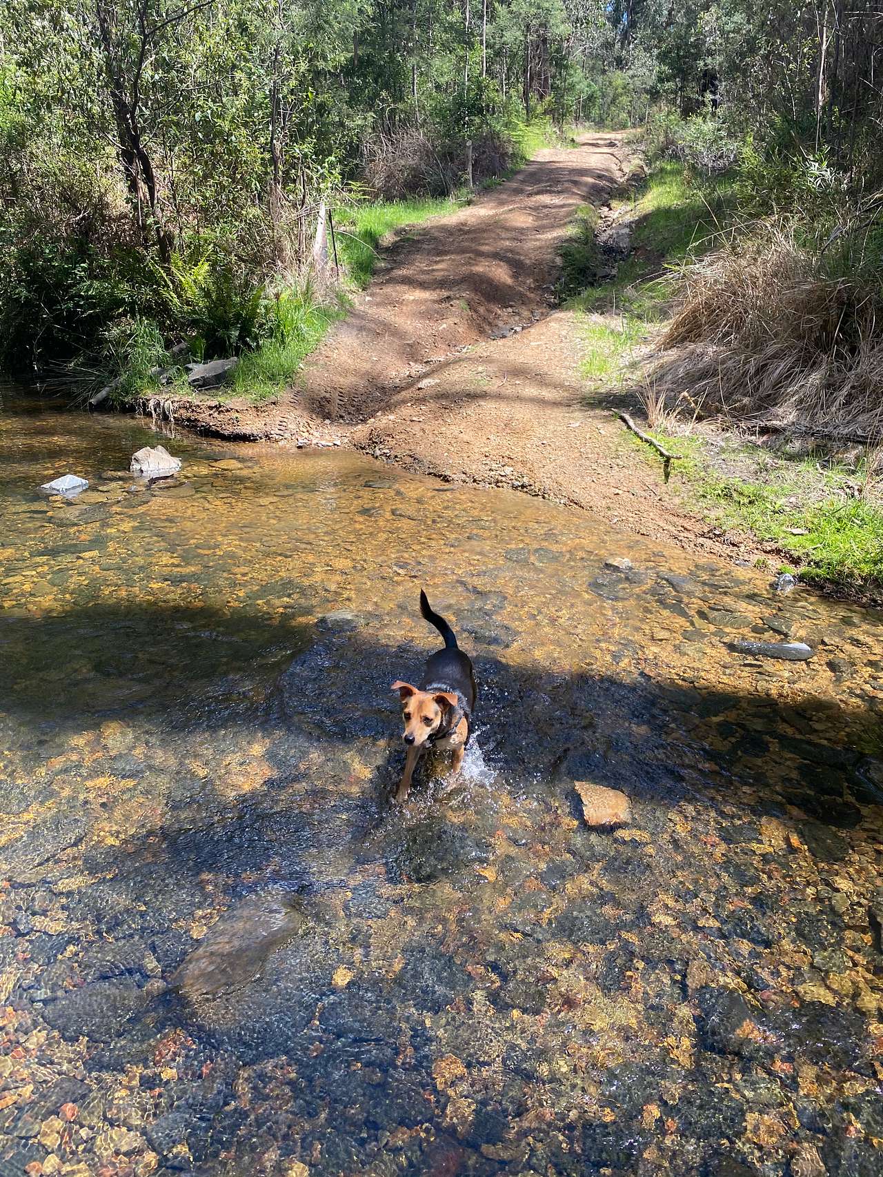 Silver Creek Escape
