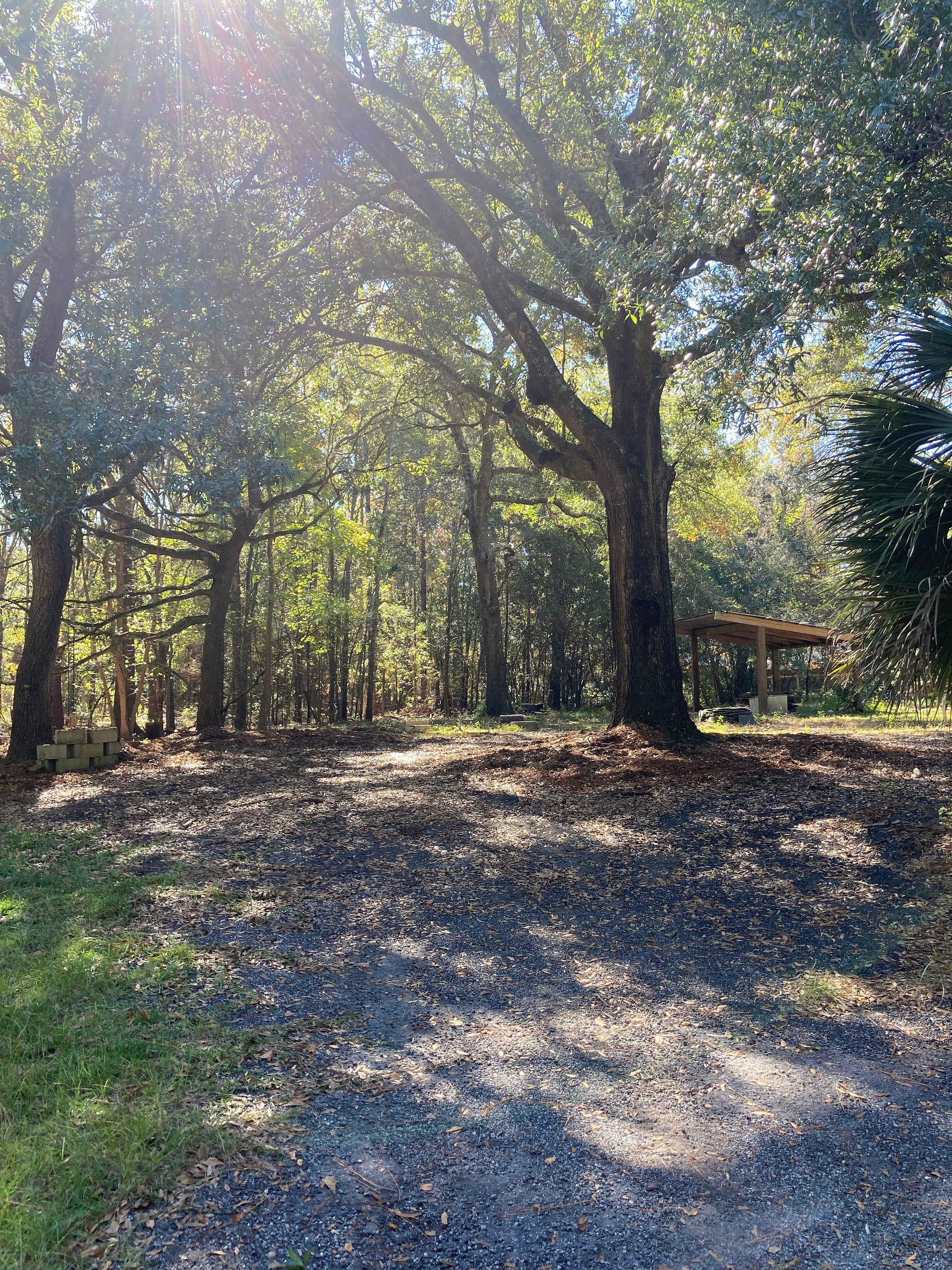 Driveway of the site, can hold up to 45 foot.  You can see the grilling lean to in the back.