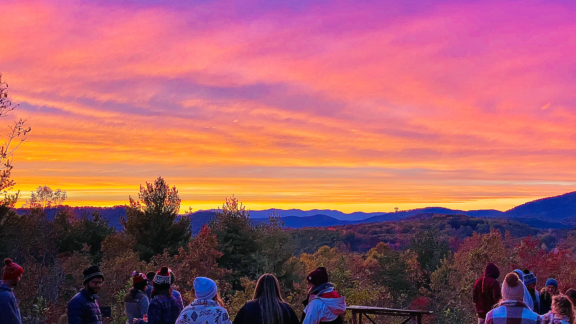 Starlight Hills