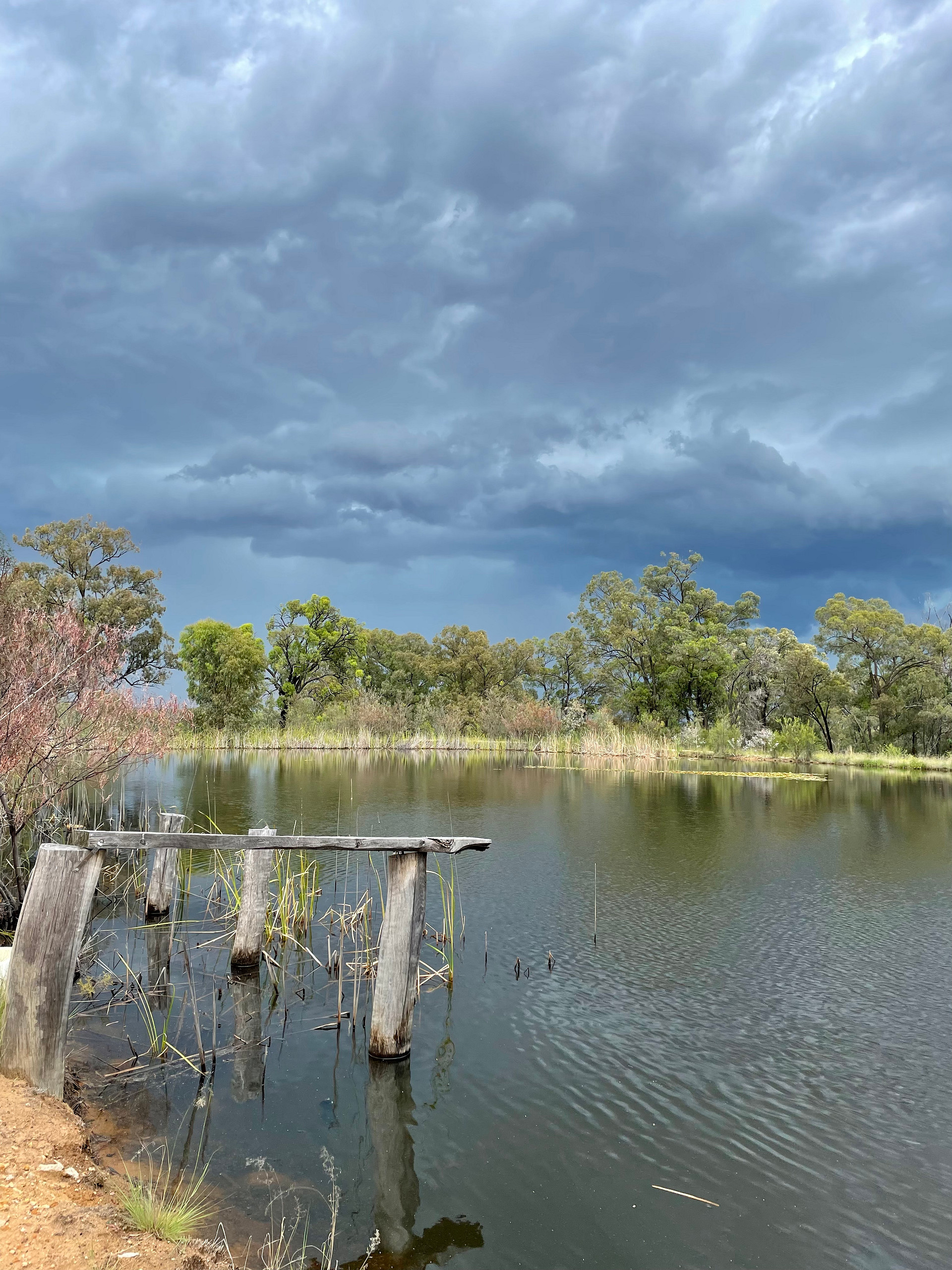 Narrabri Fish Farm