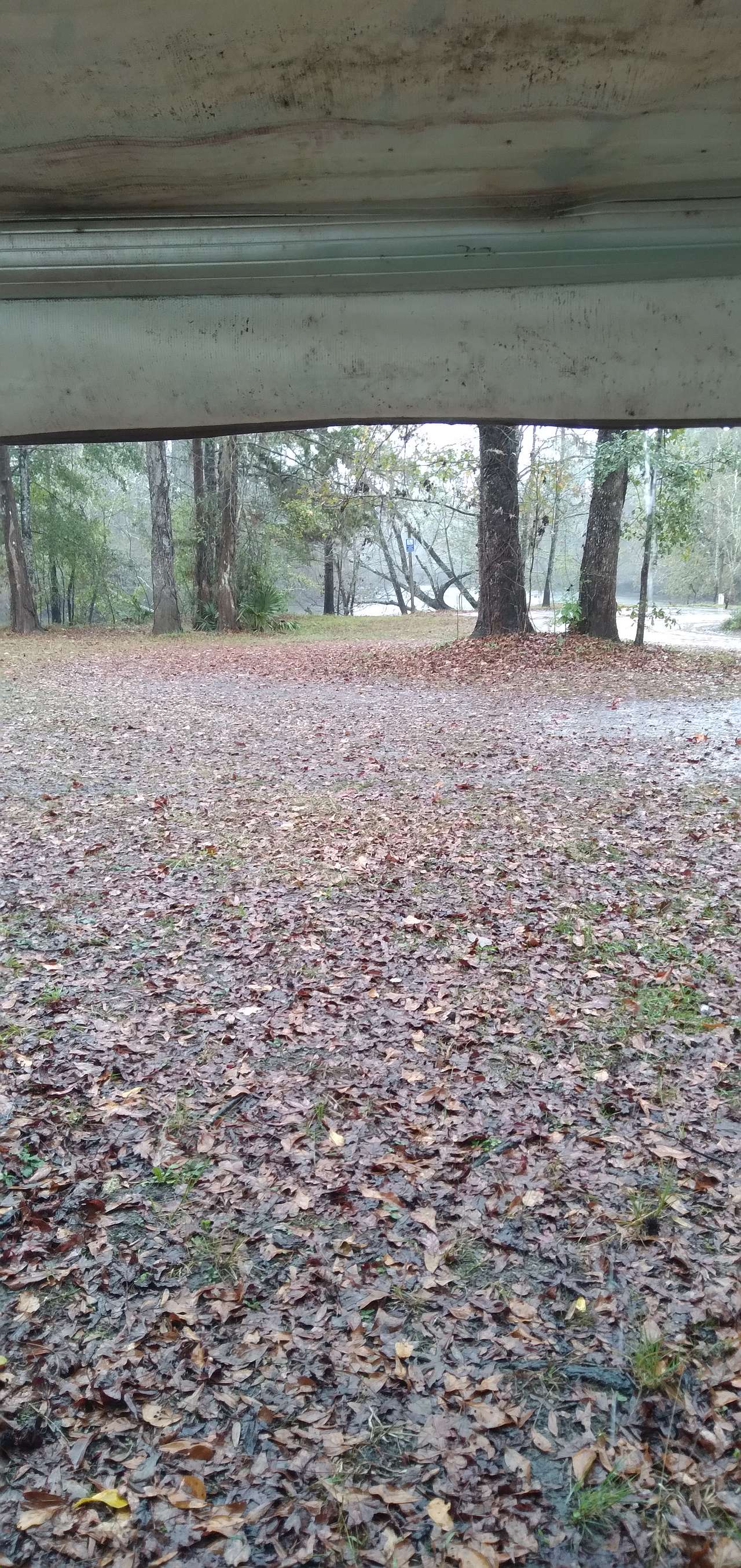 Apalachicola National Forest