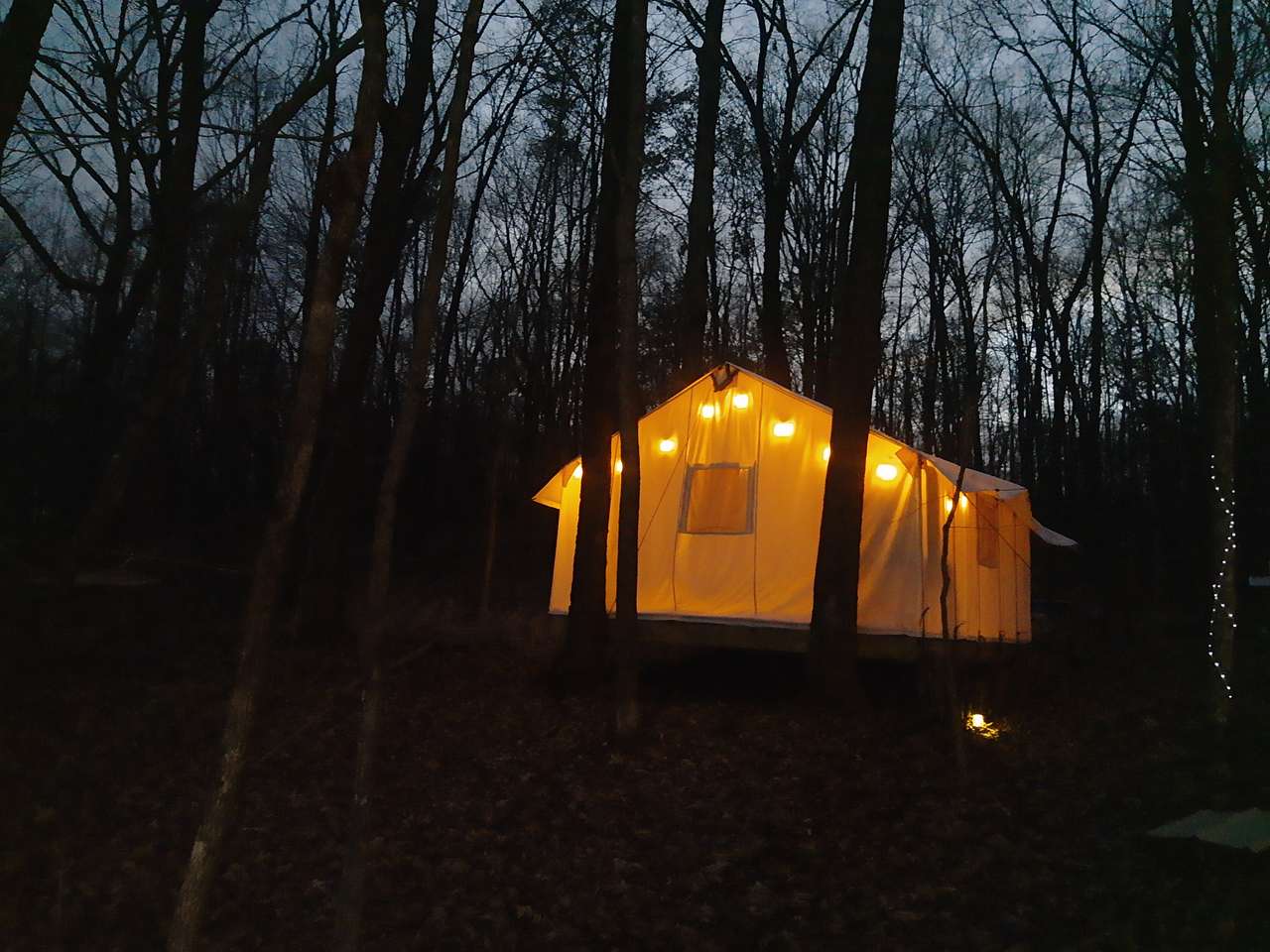 Outside at night