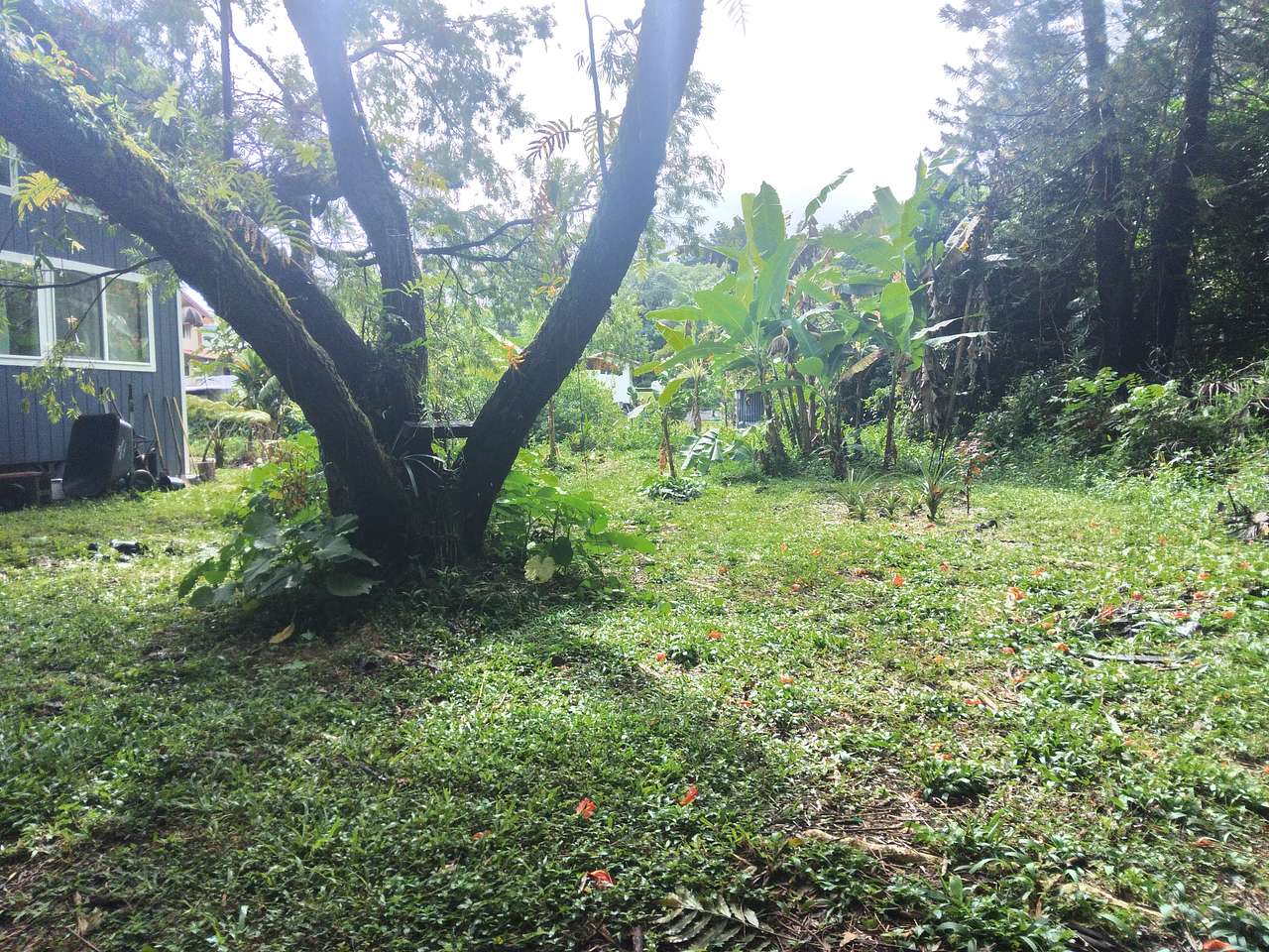 Leilani estates camp or room