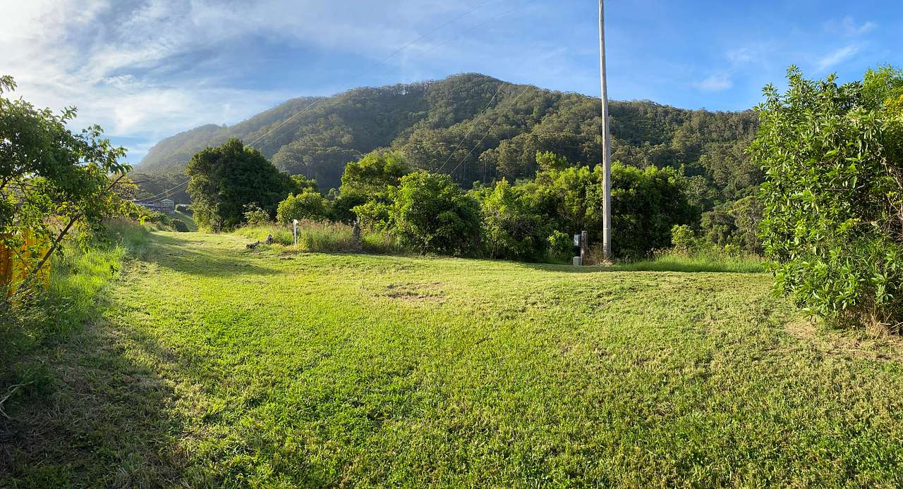 Mains avocados site