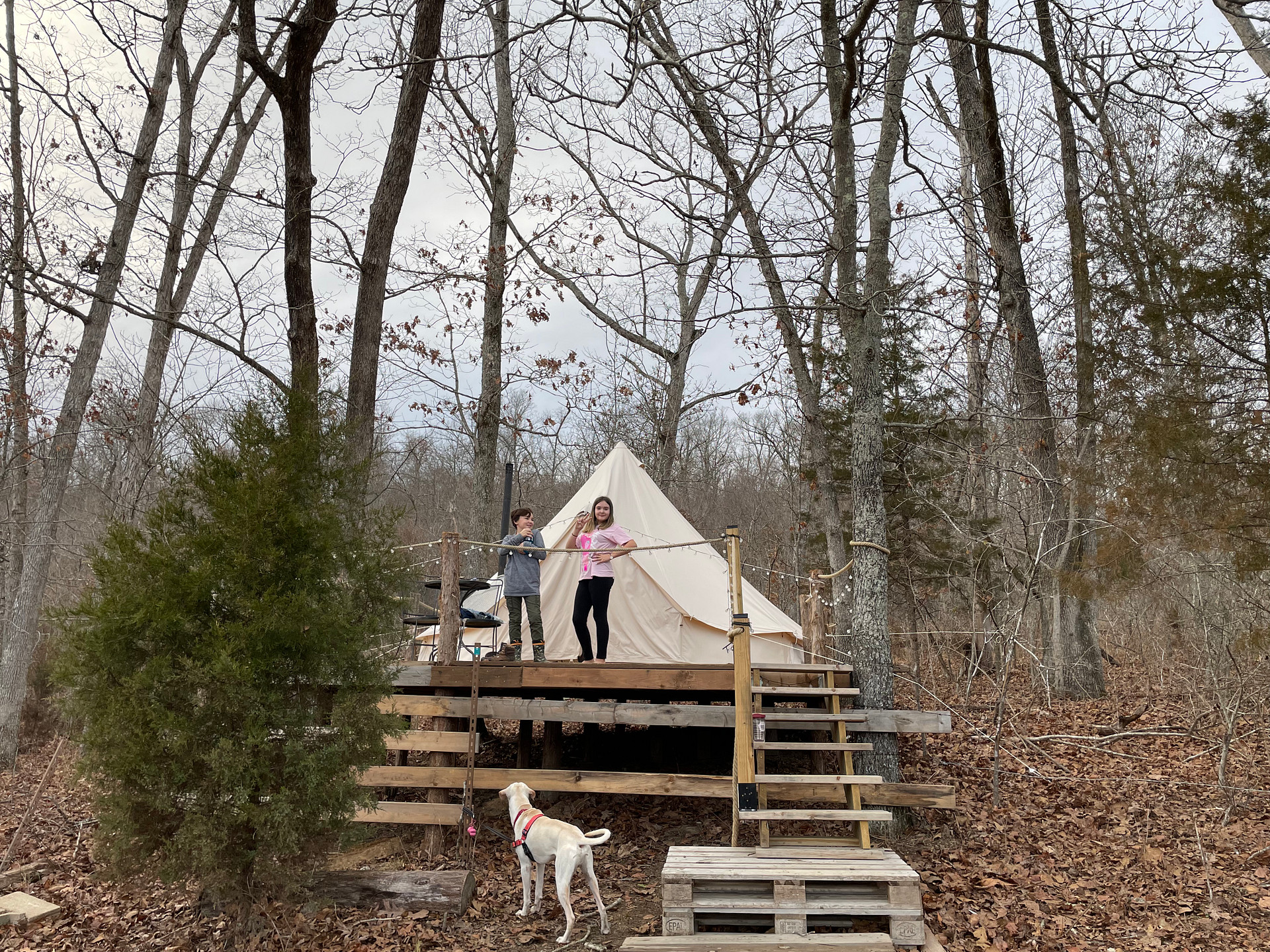 Hummingbird Hollow Outdoors