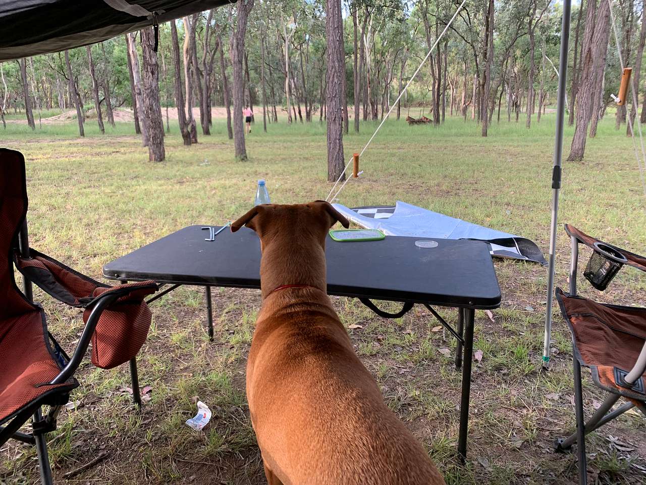 Ballogie Bush Camp