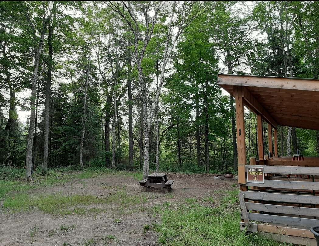 Kingscote Campsites - Algonquin