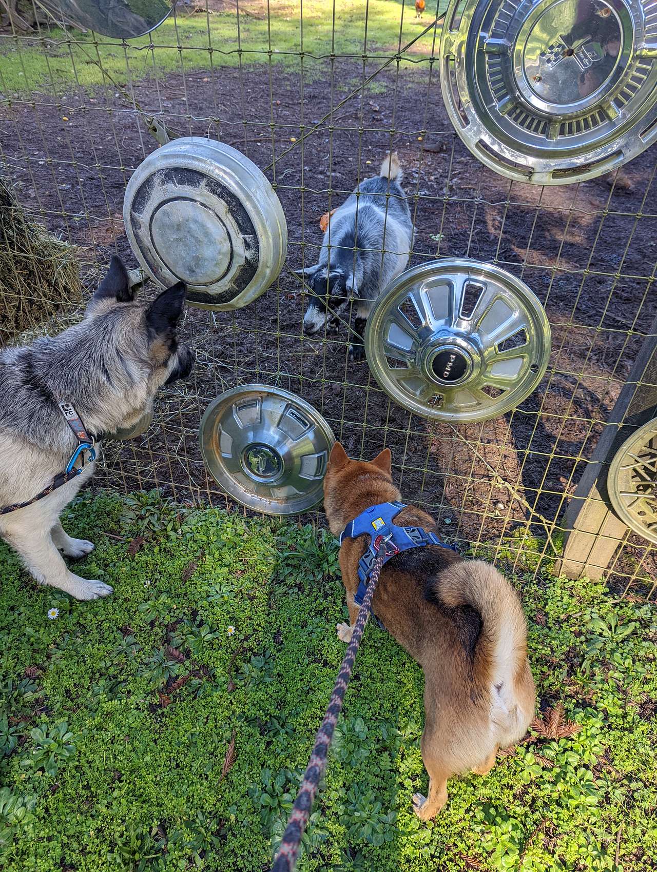 R.V Site Full Hookups/Hubcap Ranch
