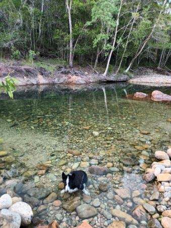 Crystal Creek Nywaigi Camp Grounds
