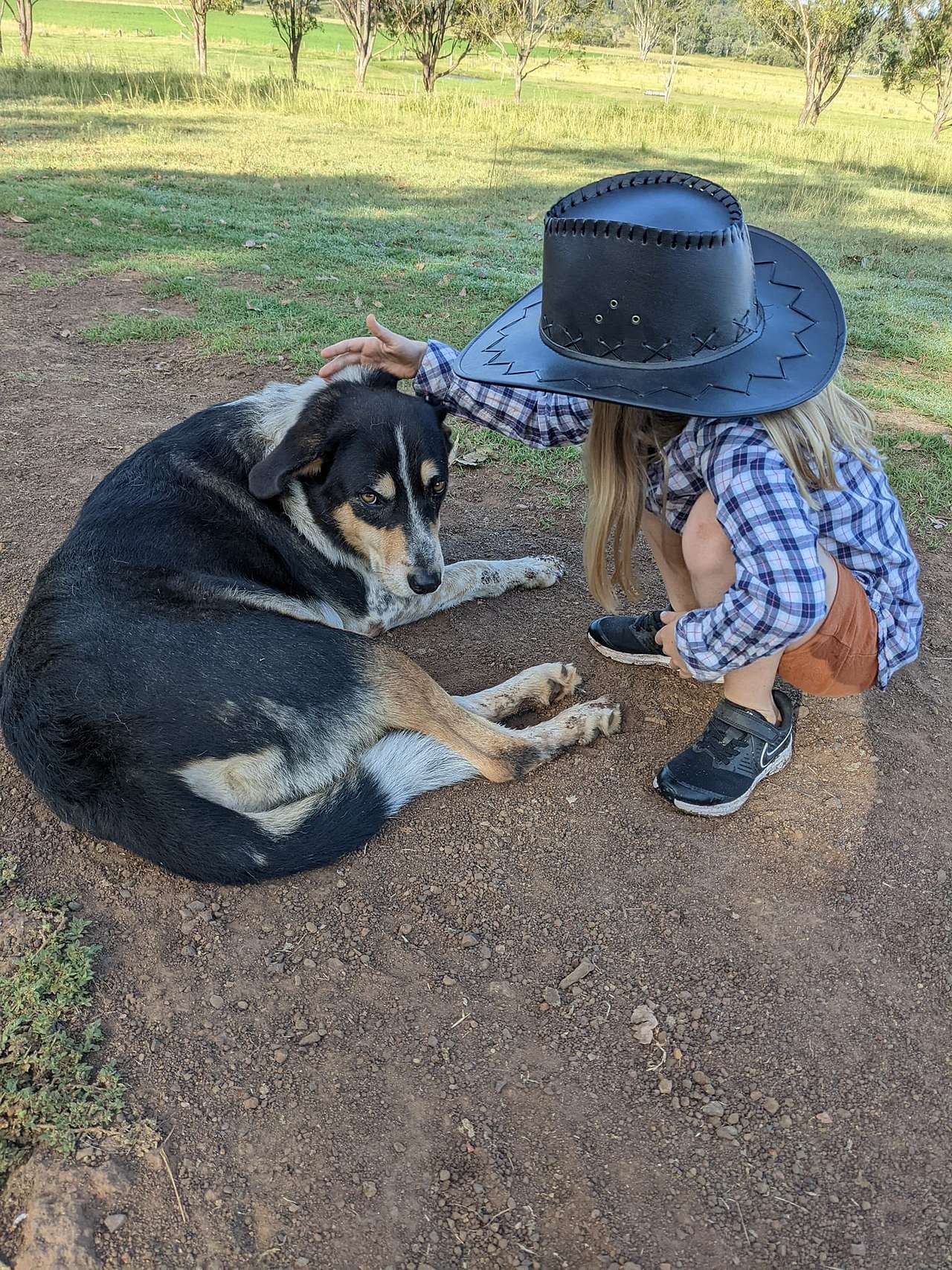 Adavale Farm experience