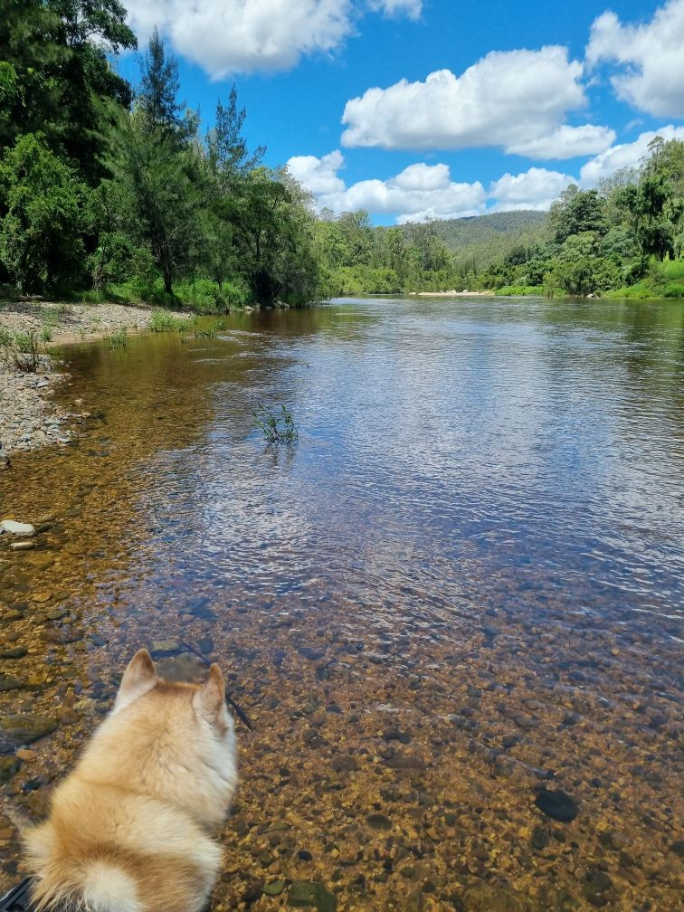 Eagle Ridge Bush Retreat