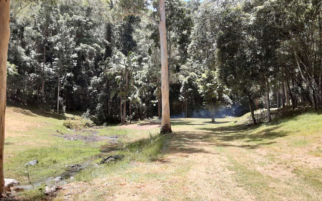 Red Cedar camp area
