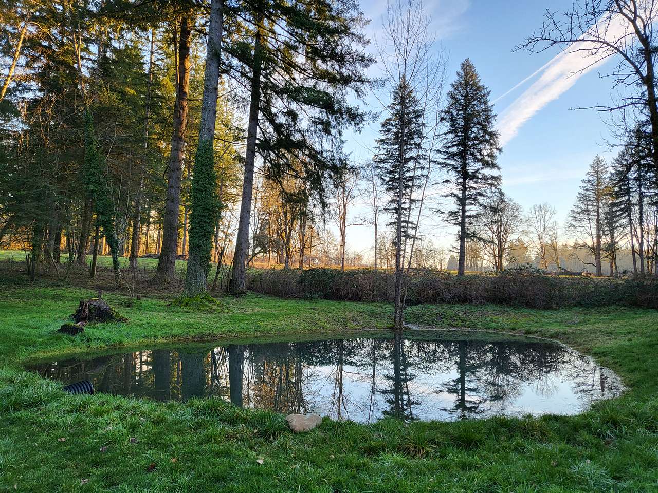 Seasonal Pond