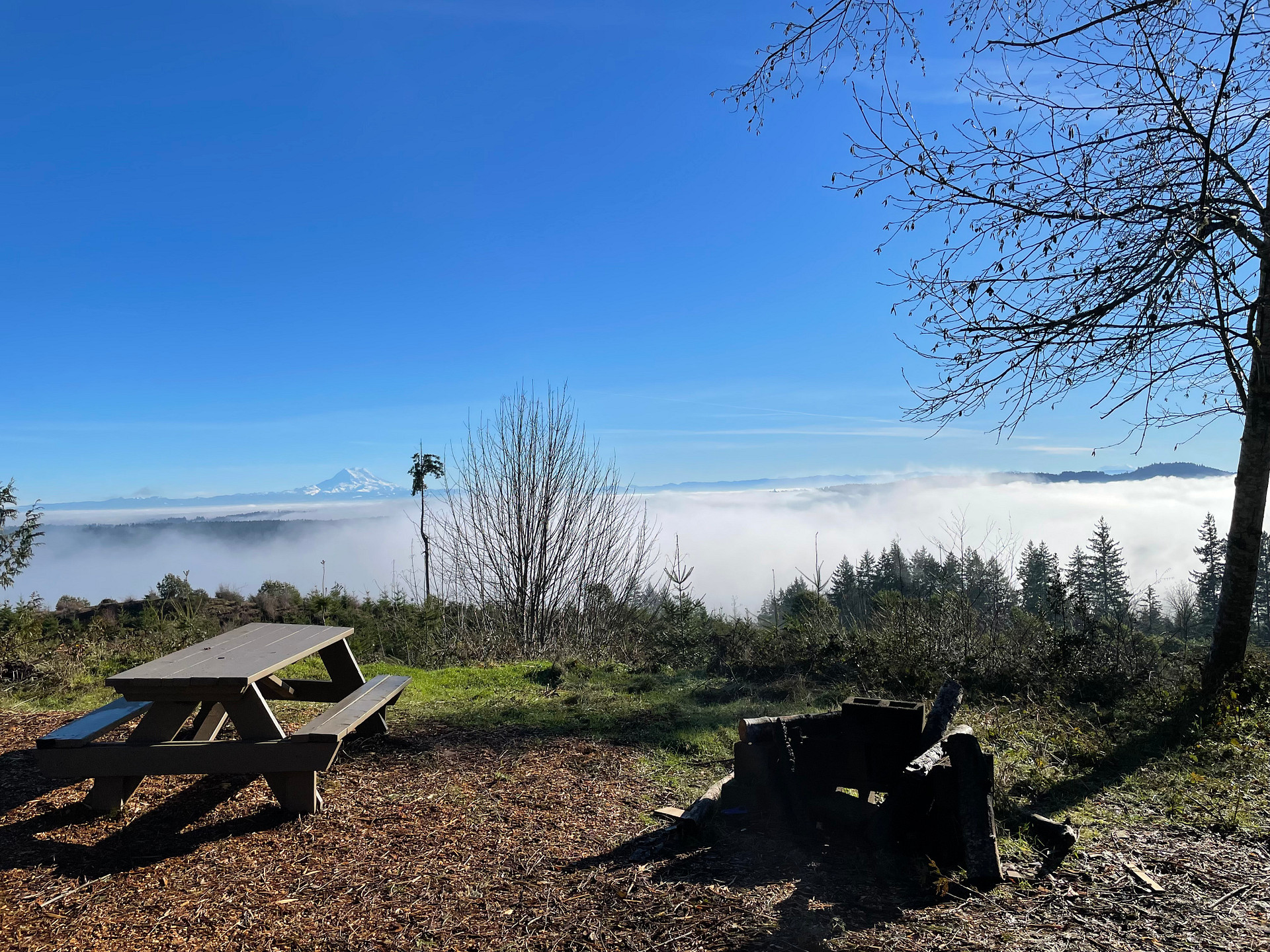 Hairy Eagle Lookout 🦅