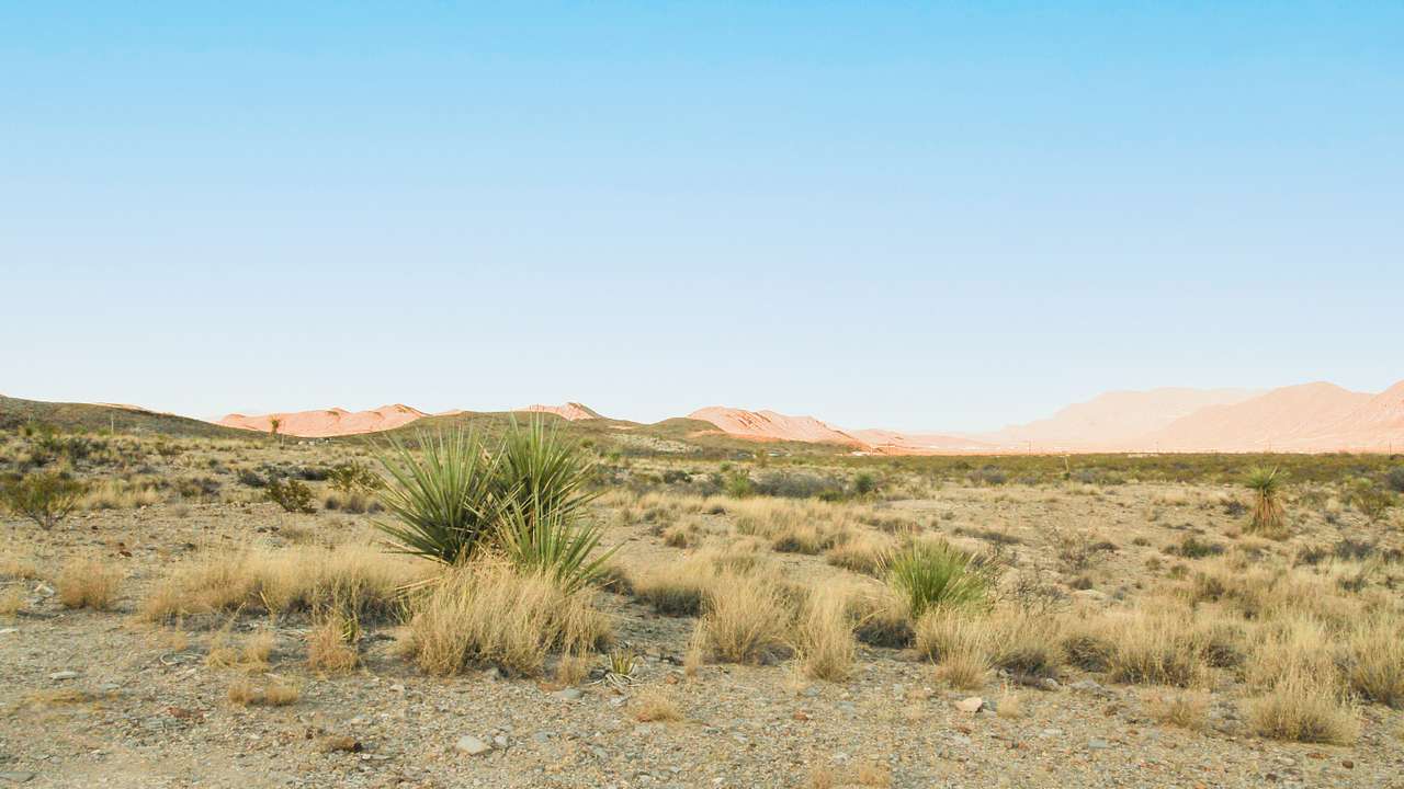 Wildcat Mountain