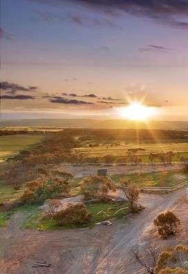 Currawong Corner bush camp - Caravan, RV & tent