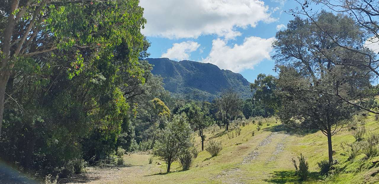 World Heritage Forest Monastery campsite