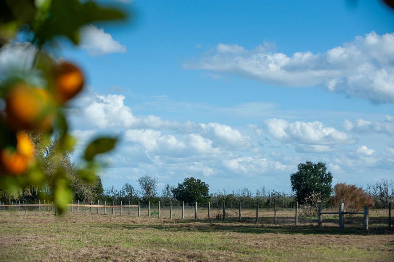 LAZY K RANCH SOUTH