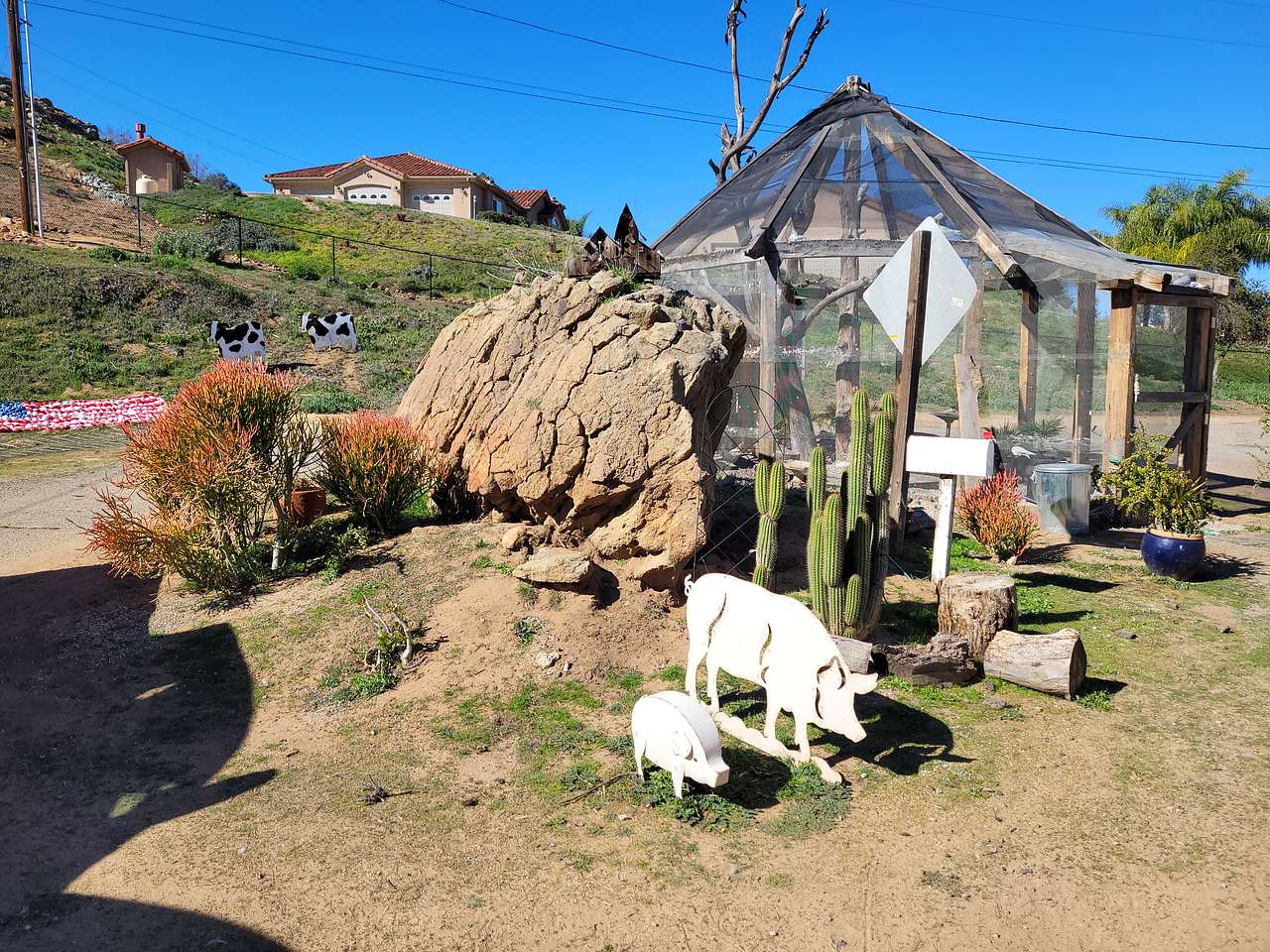 2 The Rescue Animal Sanctuary