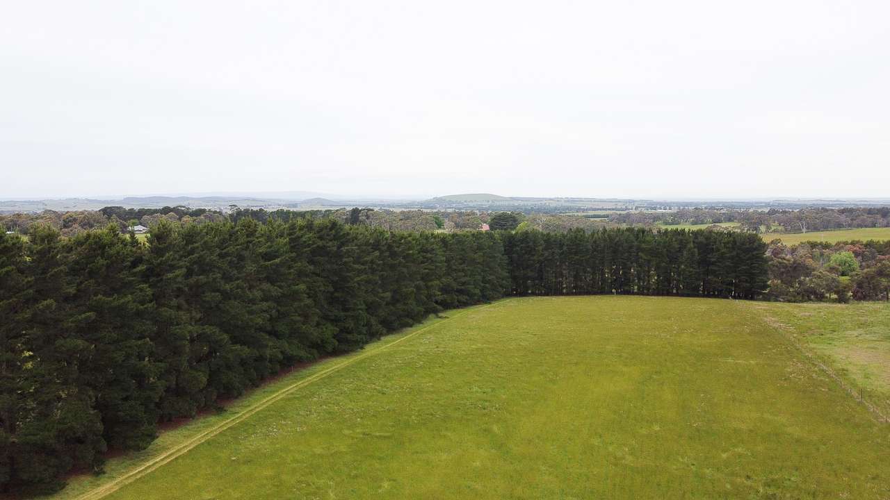 Book A Paddock