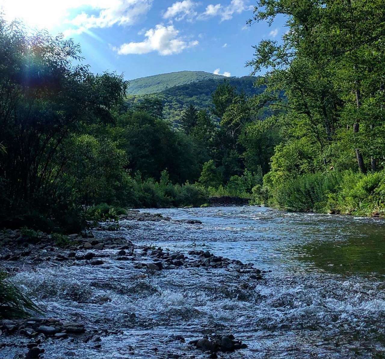 Wild Creek