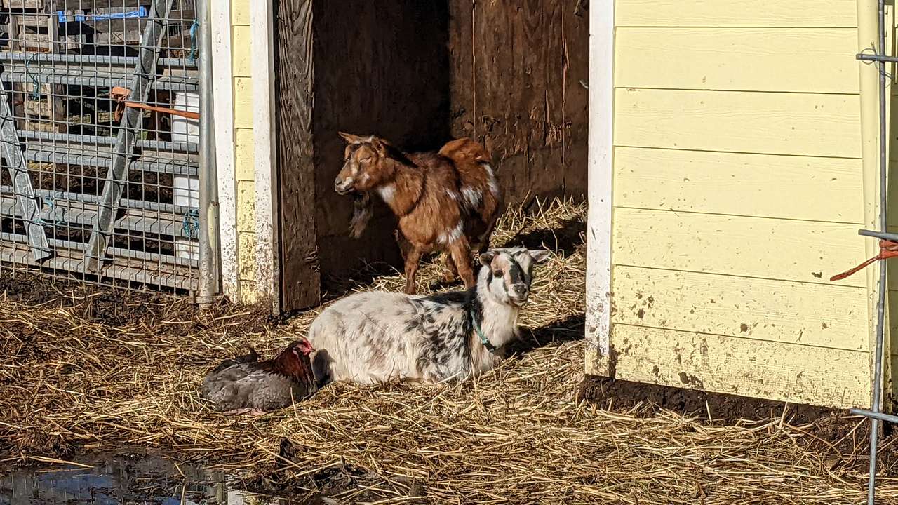 schedule a farm tour!