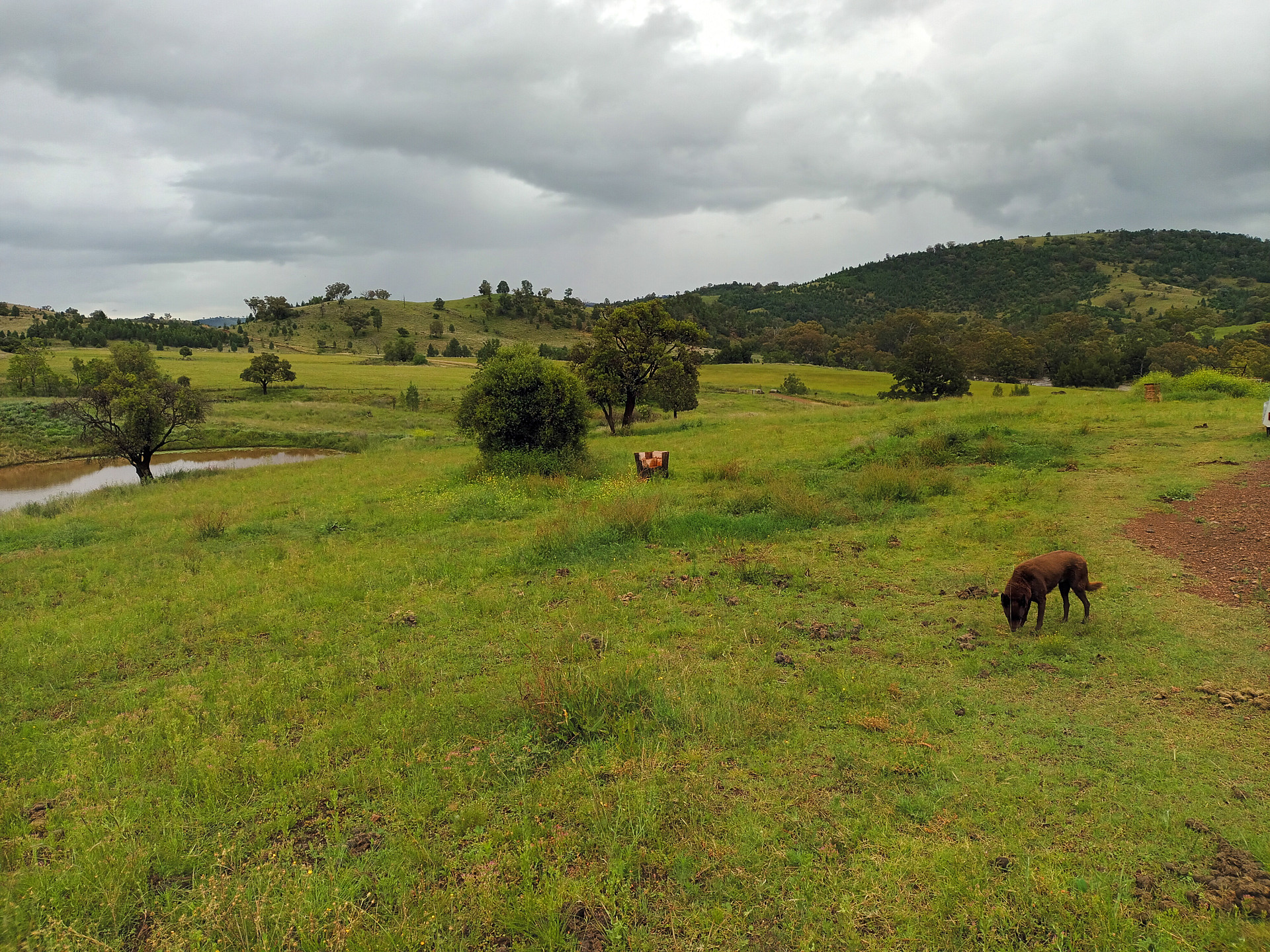 Namoi Valley Escape
