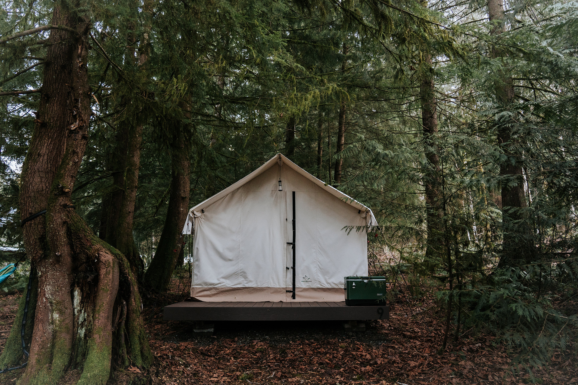 Action Sports Roamer Sites-Mt. Hood