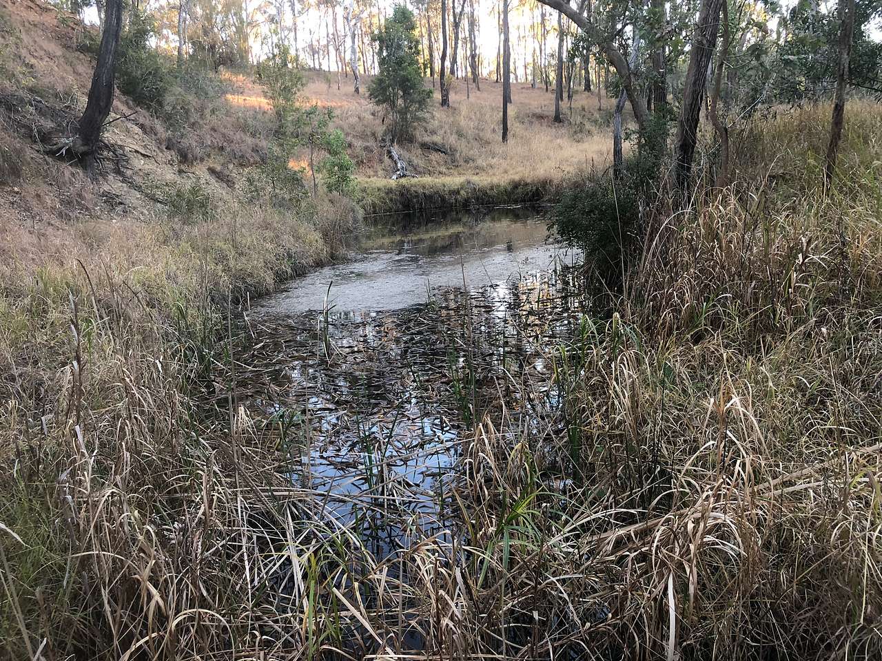 Empty Pockets creek-side Farm Stay