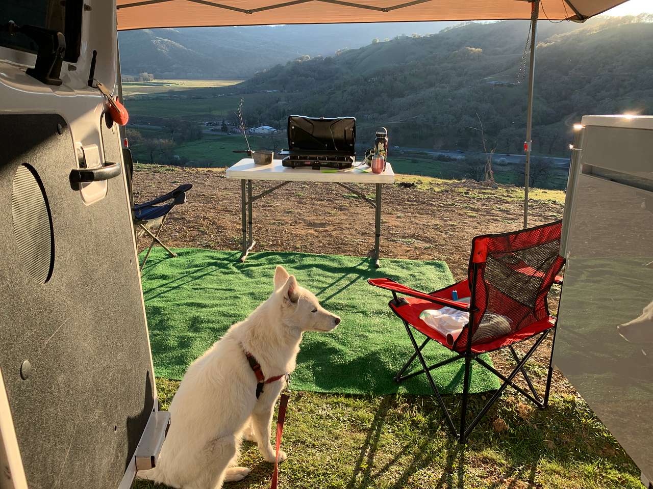 Nelson Family Vineyards