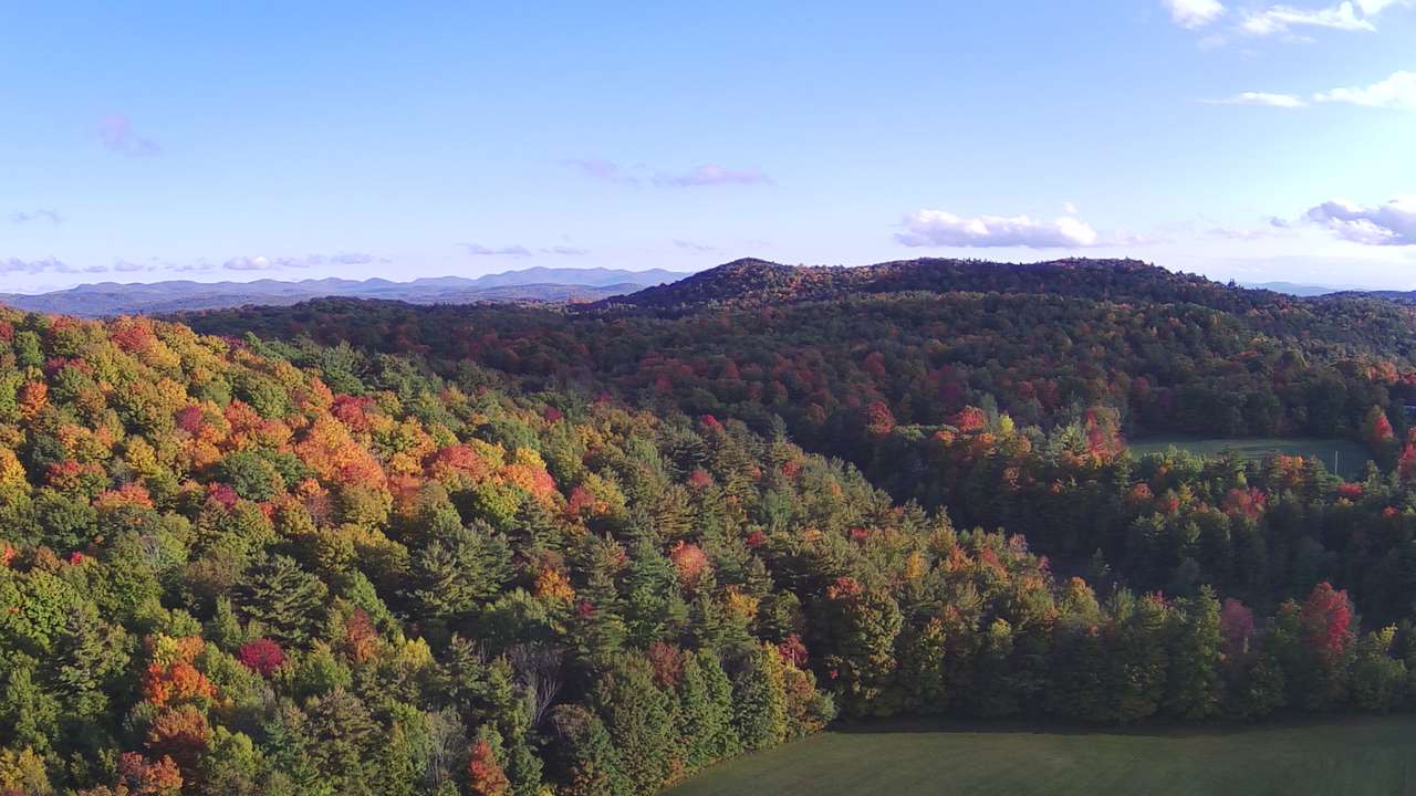 Aerial view over our woodlands