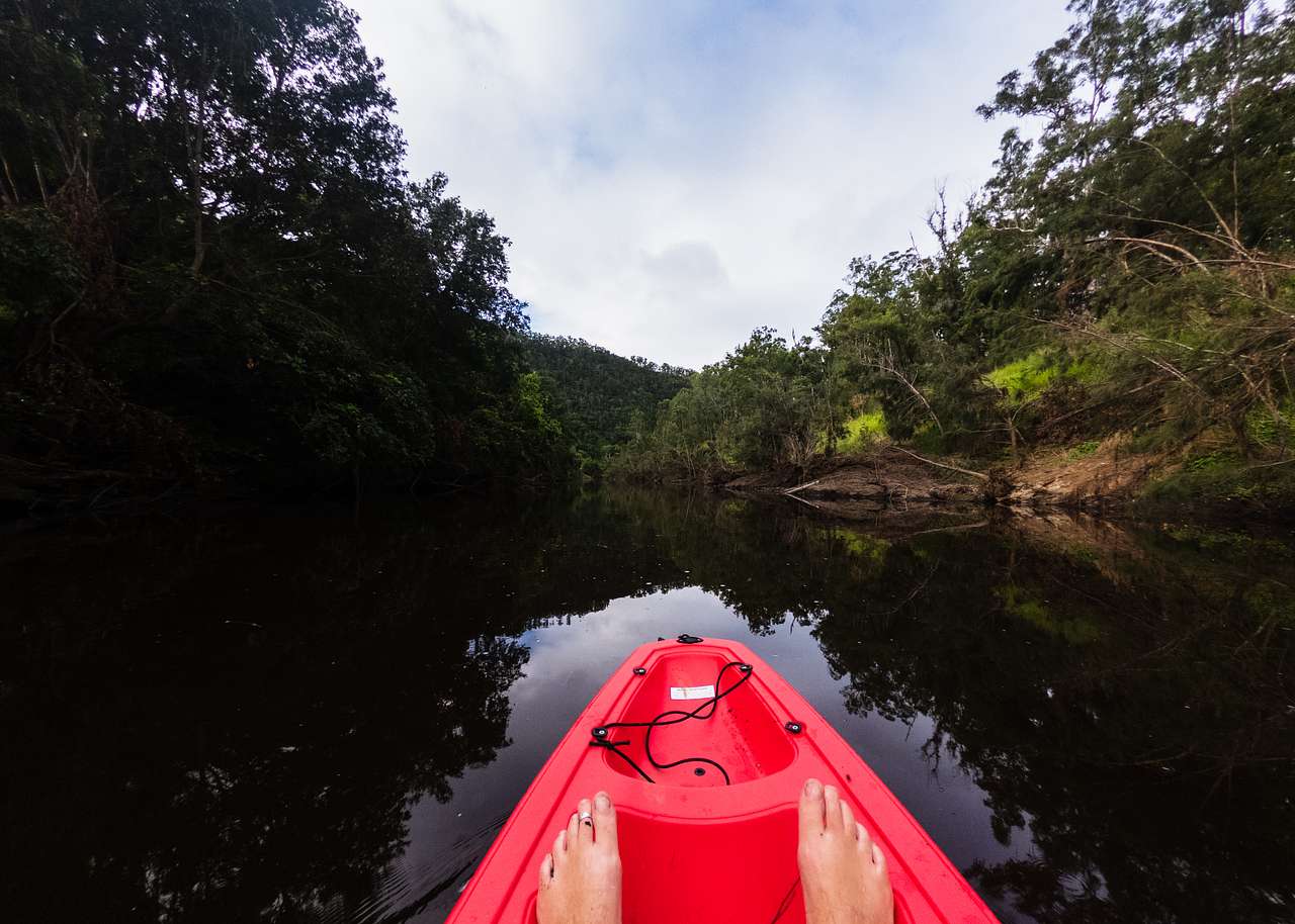 free use of the kayaks