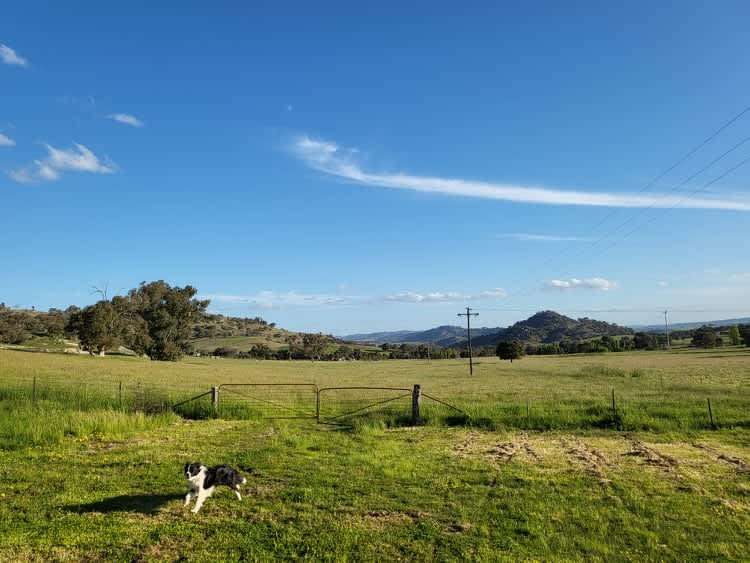 La Paloma Farm