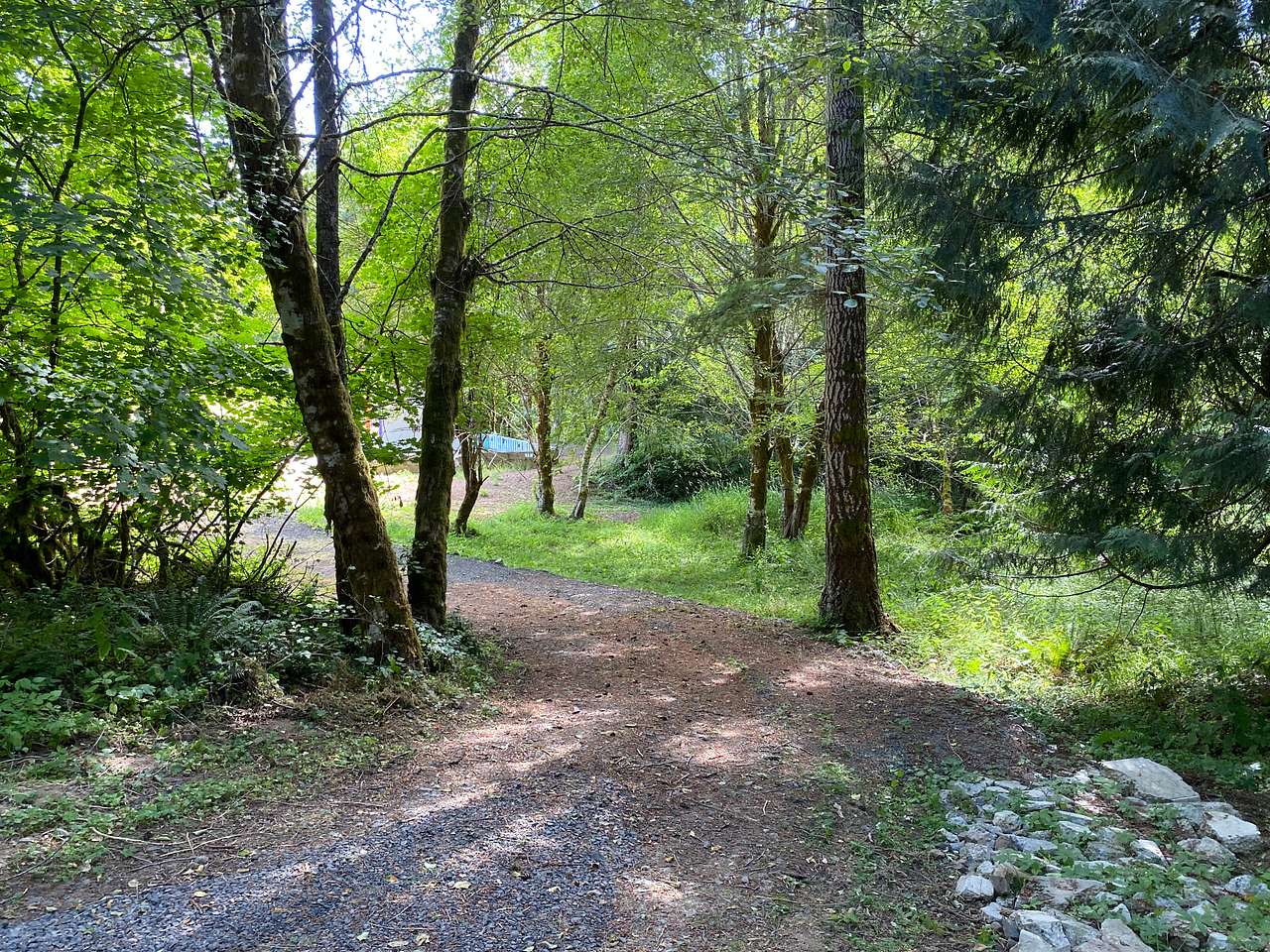 The trees that line the back corner into/out of Site B