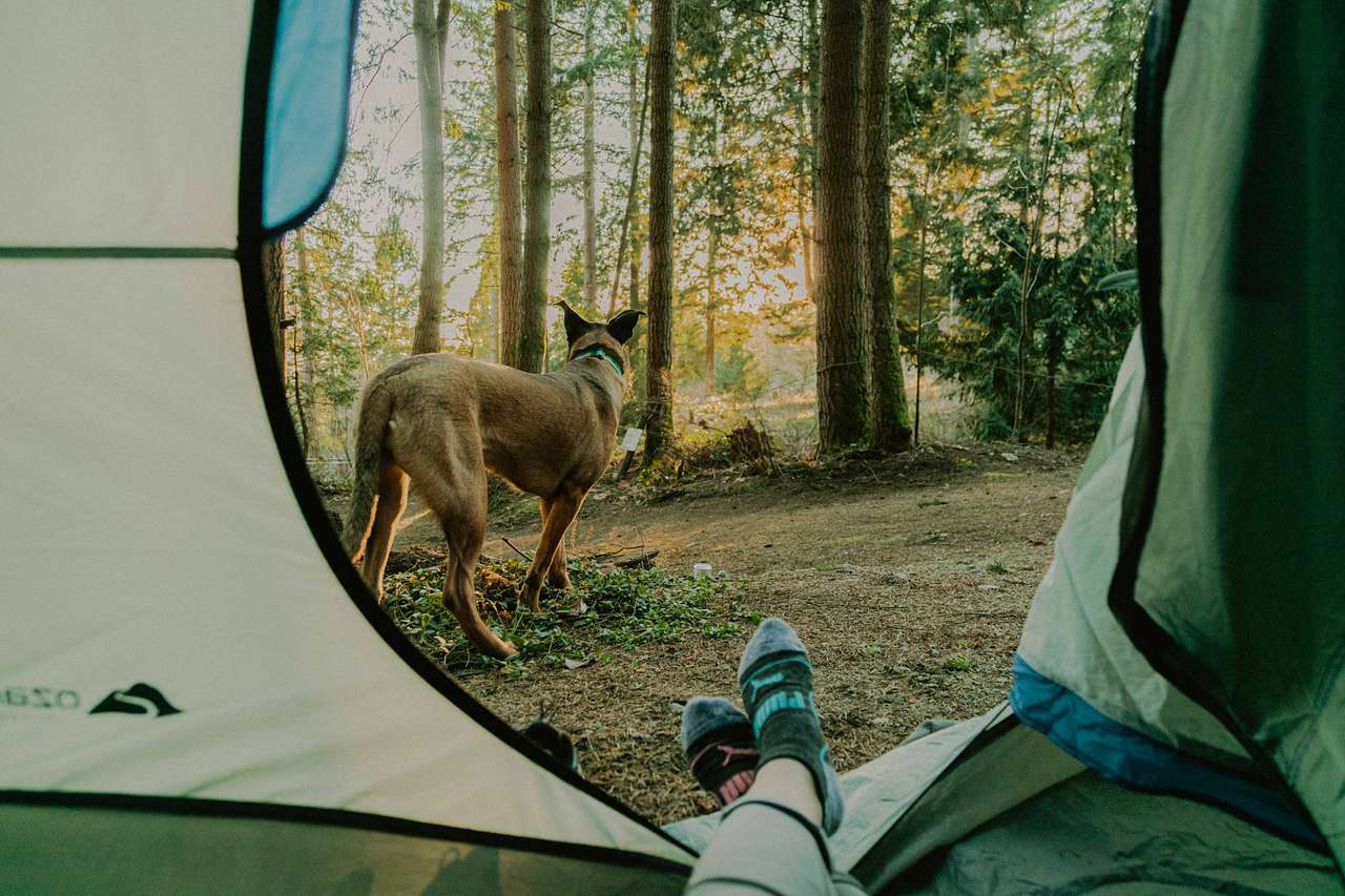 Our view from the tent! 