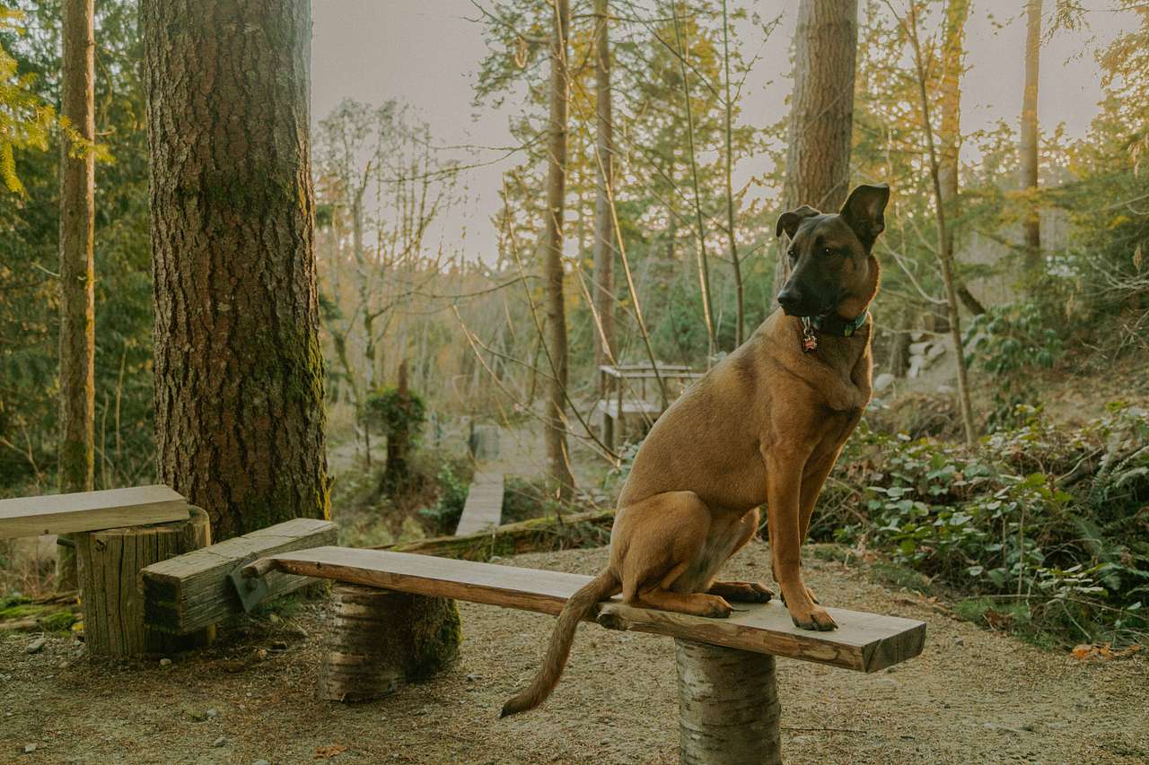 There were so many cute wooden benches around the firepit area. Apparently almost everything here has been repurposed material - so amazing! Definitely a 'green' zone.