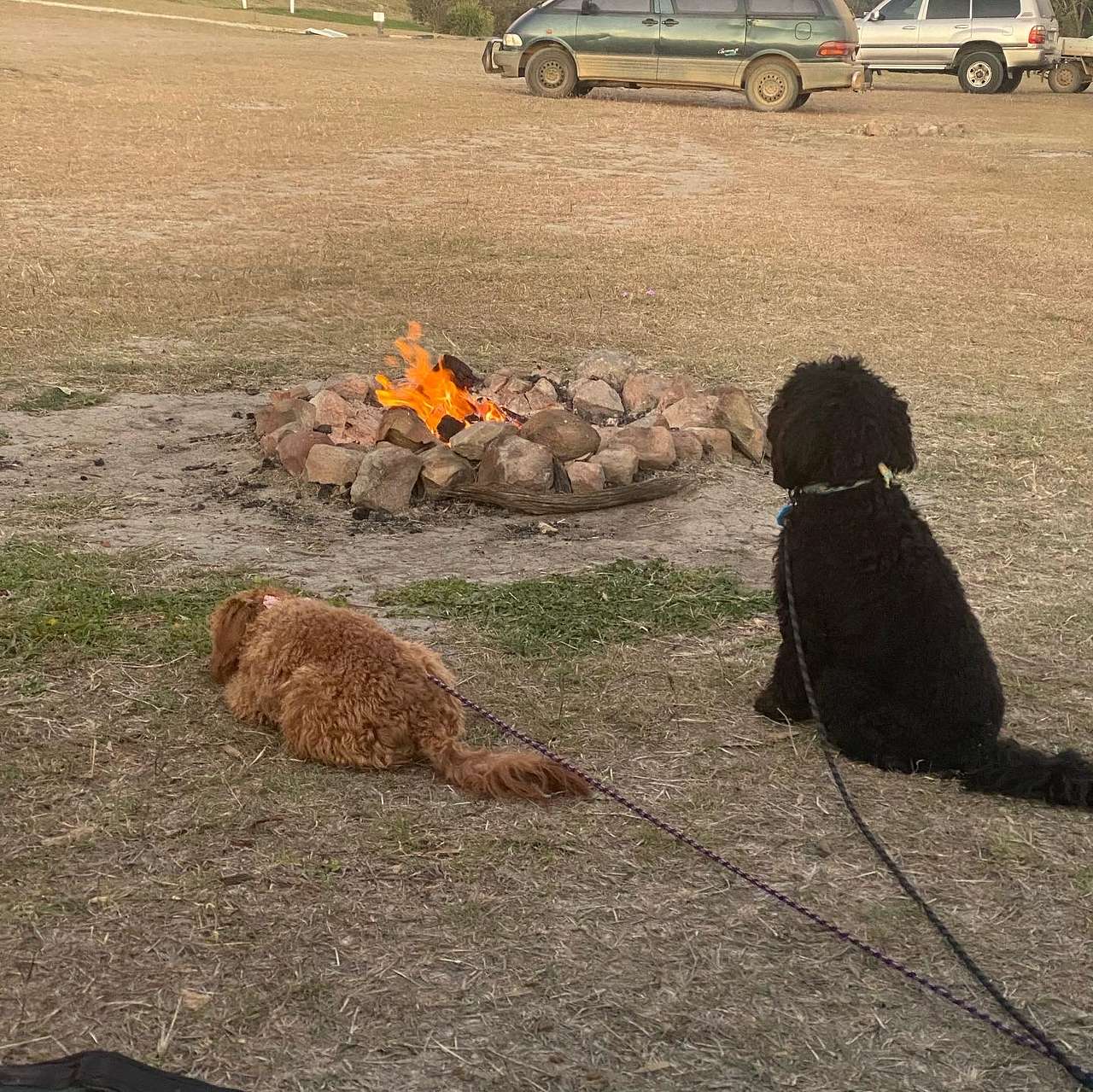 Goomeri Caravan and Bush Camp
