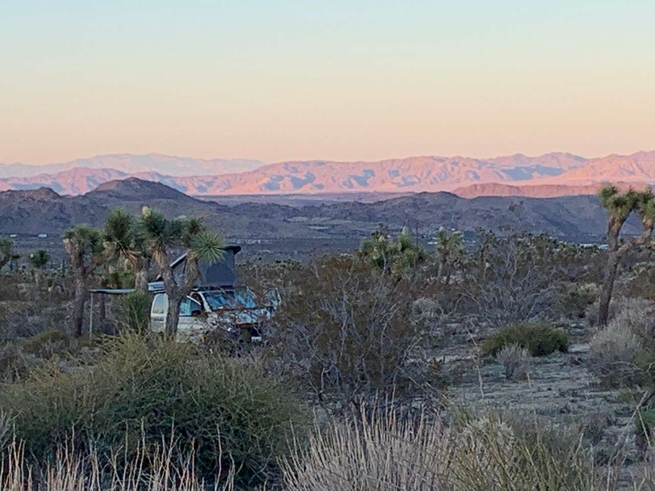 Campers visiting In The spring see amazing colors of the wildflowers, Joshua Trees, and sunlight shifting on the surrounding mountains. 