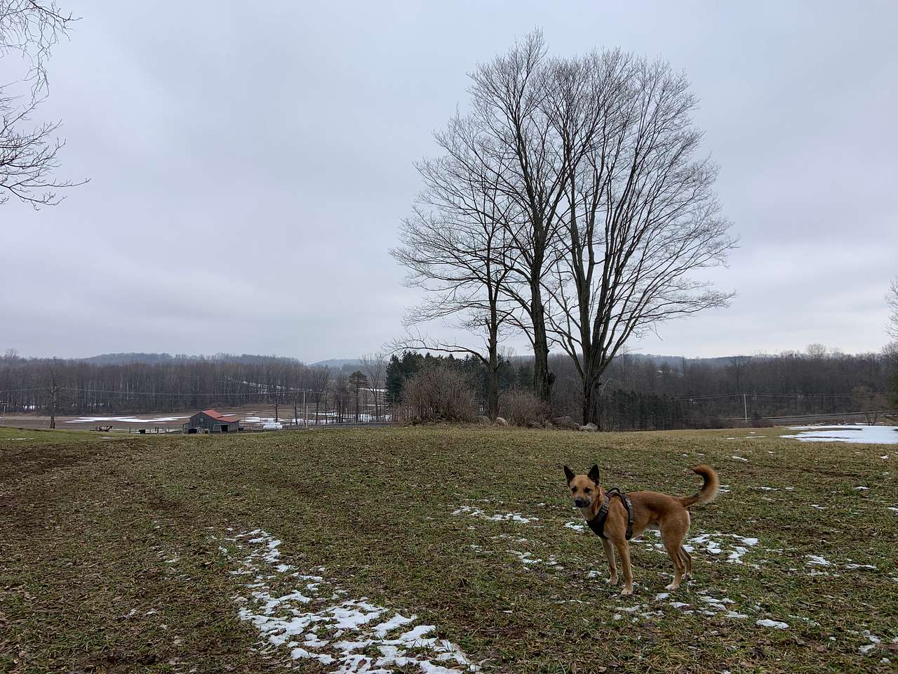 Spring lake retreat on the farm