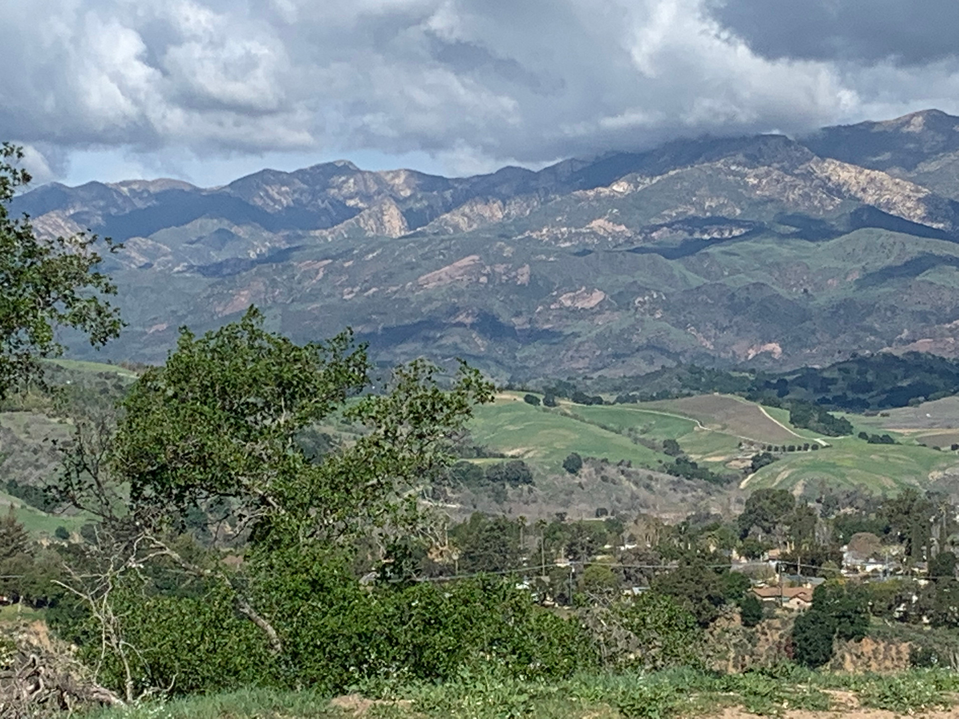 From nearby Sulphur Mt.