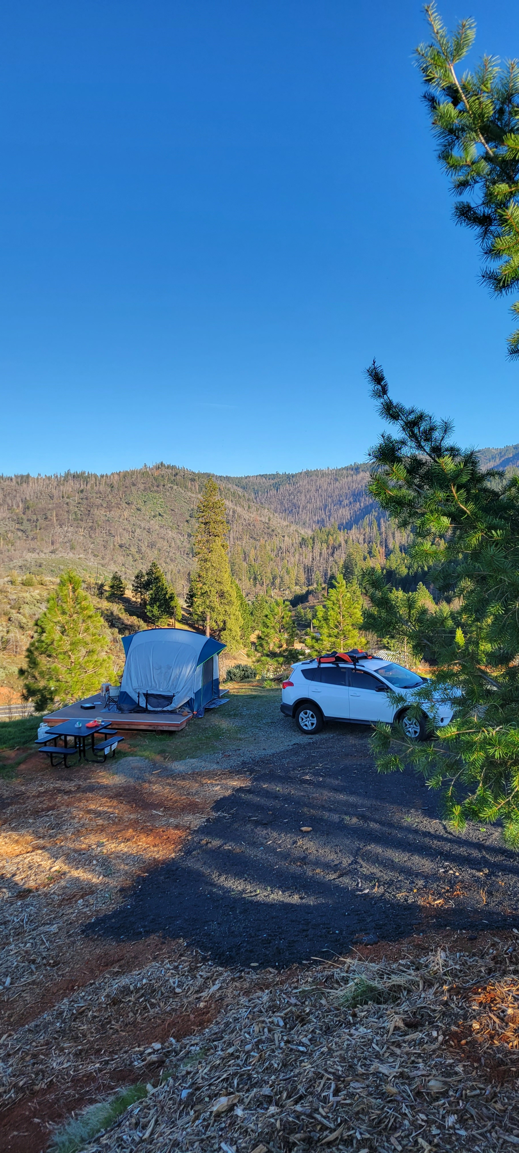 Yosemite Colfax Spring