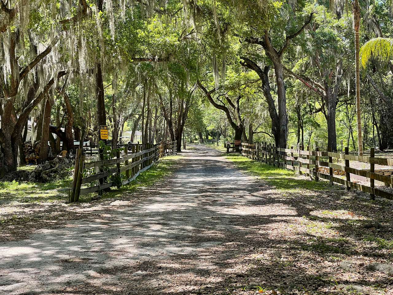 Myrtle Oaks