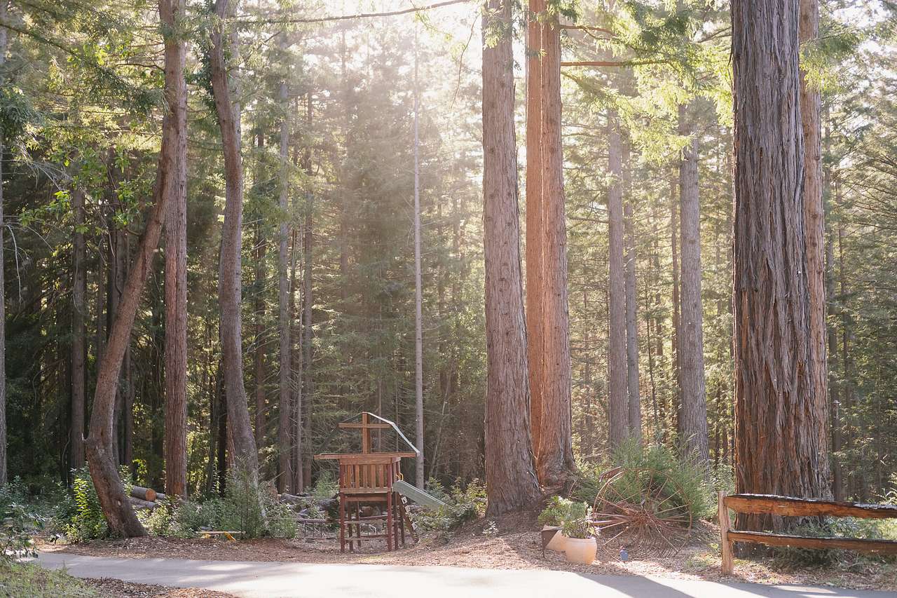 BANKS RANCH IN THE REDWOODS